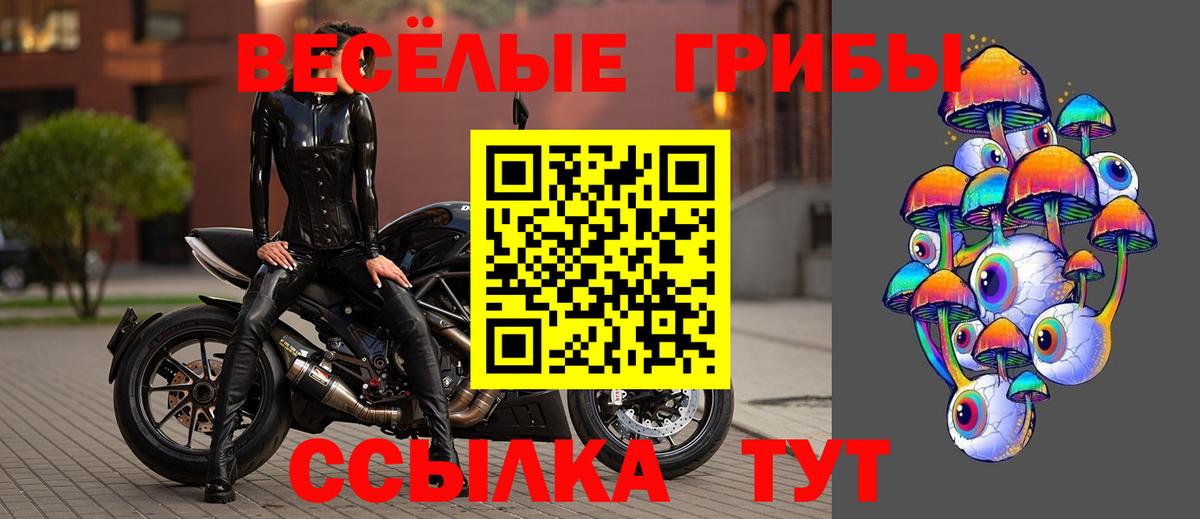 Галлюциногенные грибы мицелий Чайковский