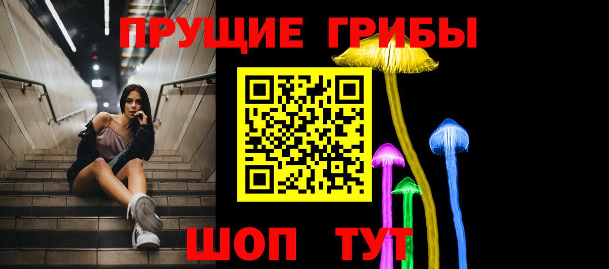 Чайковский  Галлюциногенные грибы MAGIC MUSHROOMS  Вход с VPN 